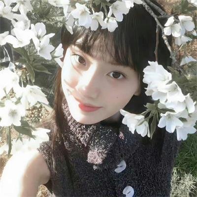 维希之眼